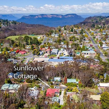 Sunflower Cottage Katoomba Εξωτερικό φωτογραφία