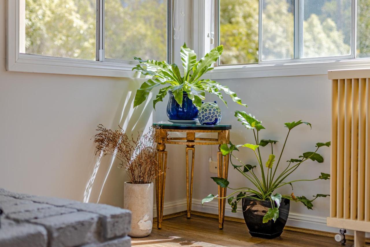 Sunflower Cottage Katoomba Εξωτερικό φωτογραφία